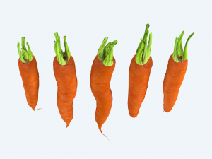 Carrots 3D Model