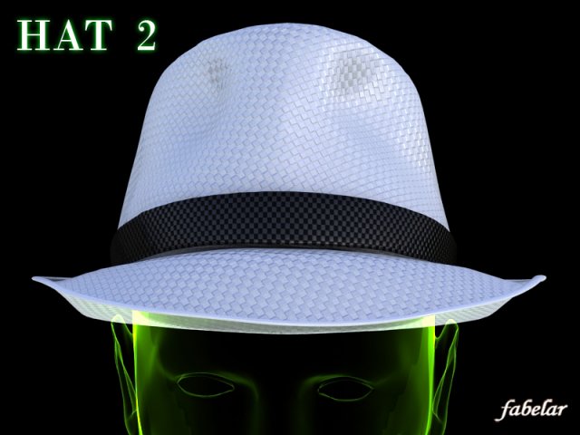 hat 2 3D Modell .c4d .max .obj .3ds .fbx .stl .blend 