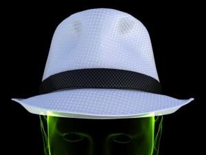 hat 2 3D Modell