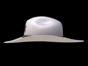 sheriff hat Modèle 3D