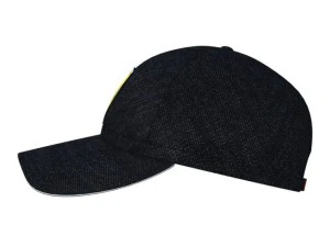cap 1 3D Model