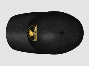 lamborghini cap 2 3D Model