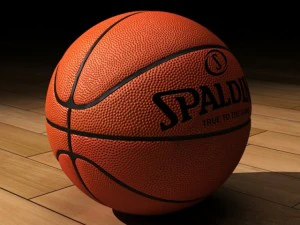 basketball spalding std mat 3D Model