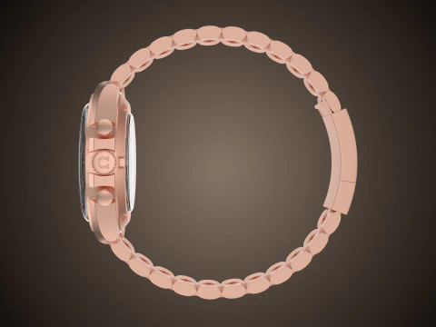 Omega Speedmaster Moonwatch profissional Modelo 3D