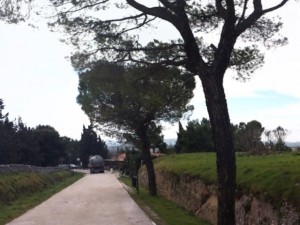 hdri castel del monte 1 Model 3D