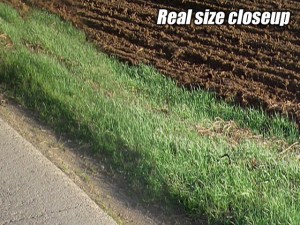 texture hdri countryside 1 Modello 3D