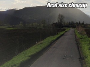 texture hdri countryside 1 Modello 3D