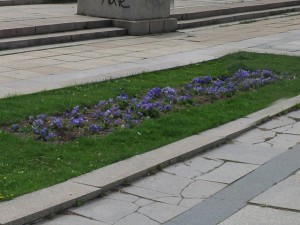 hdri square 3Dモデル