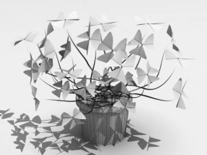 oxalis triangularis 3D Model