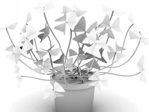 oxalis triangularis 3D Model