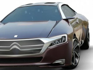 citroen concept pack 3D Model