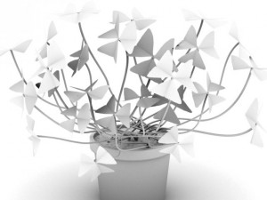 oxalis triangularis std mat Model 3D
