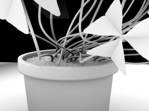 oxalis triangularis std mat Model 3D