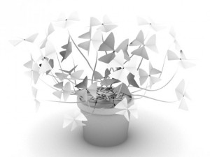 oxalis triangularis std mat Model 3D