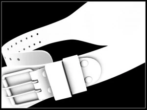 lifting belt 3D Model