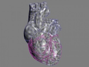 human heart std mat 3D Model