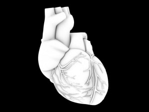 human heart std mat 3D Model