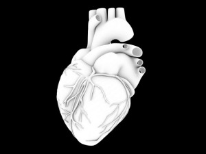 human heart std mat 3D Model