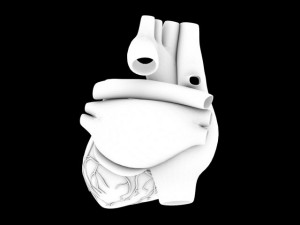 human heart std mat 3D Model