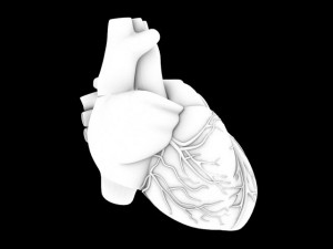 human heart std mat 3D Model