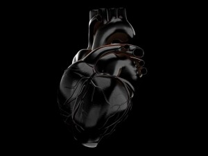 human heart std mat 3D Model