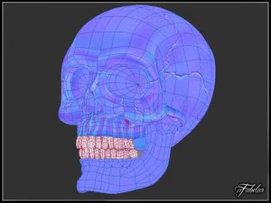 human skull std mat 3D Model