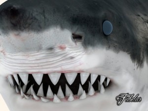great white shark Model 3D