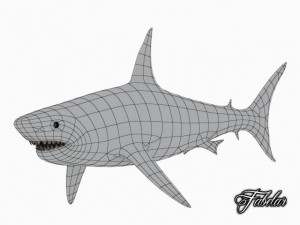 great white shark Model 3D