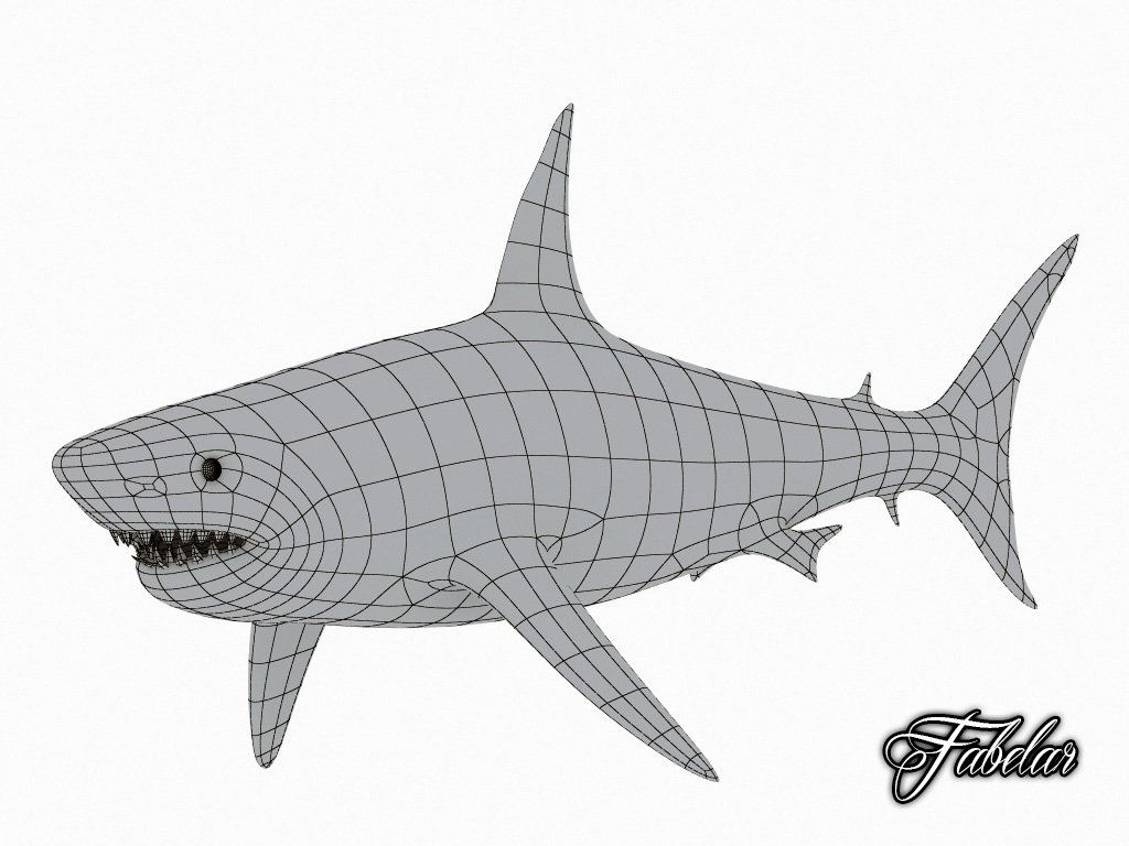Great White Shark 3d Model In Shark 3dexport