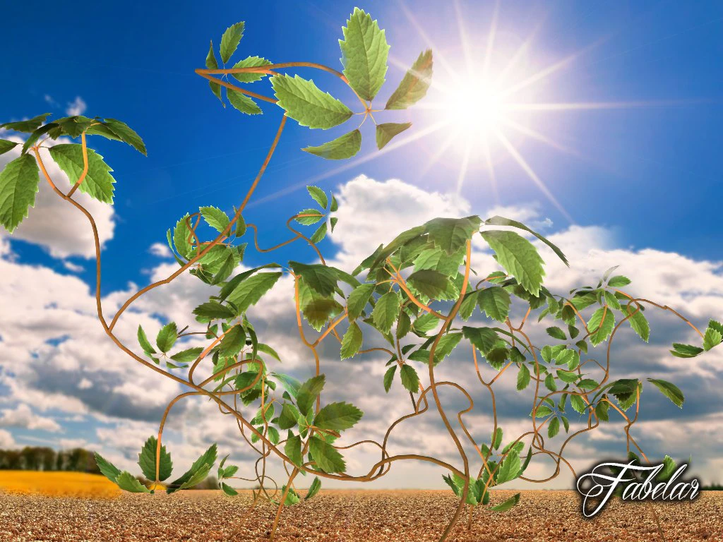 enredadera virginia Modelo 3D .c4d .max .obj .3ds .fbx .stl .blend 