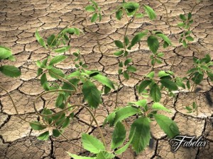 virginia creeper Modèle 3D