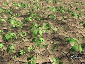 virginia creeper Modèle 3D