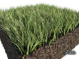 grass patch 01 3D Model