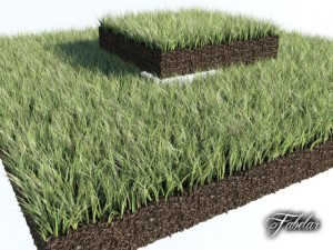 grass patch 01 3D Model