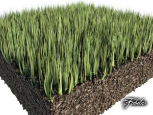 grass patch 02 Modelo 3D