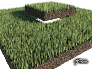 grass patch 02 Modelo 3D