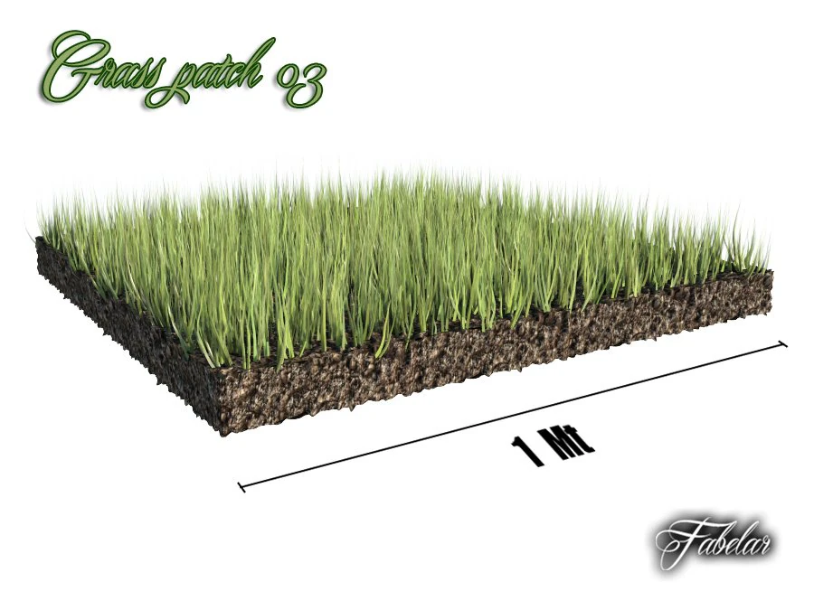 grass patch 03 3D Model .c4d .max .obj .3ds .fbx .stl .blend