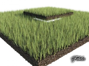grass patch 03 Modello 3D