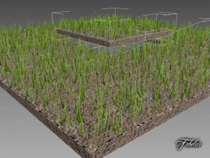 grass patch 03 Modello 3D