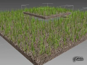 grass patch 03 3D Model
