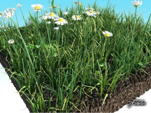 grass patch 04 3D Model