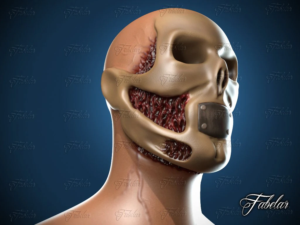 skeleton 3D Model .c4d .max .obj .3ds .fbx .stl .blend 