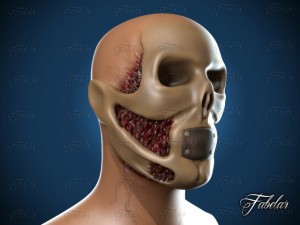 skeleton Modèle 3D