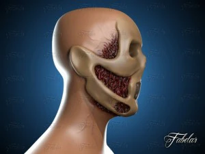 skeleton 3D Model