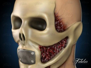 skeleton 3D Model