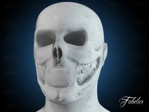skeleton 3D Model
