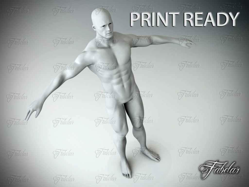 male body std mat printable 3D Print Model .c4d .max .obj .3ds .fbx .stl .blend 
