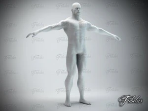 male body std mat printable 3D Print Model