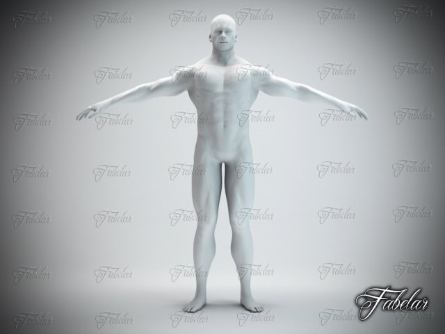 Download male body std mat printable 3D Model
