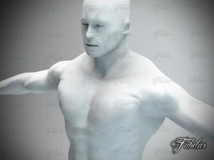 male body std mat printable 3D Print Model